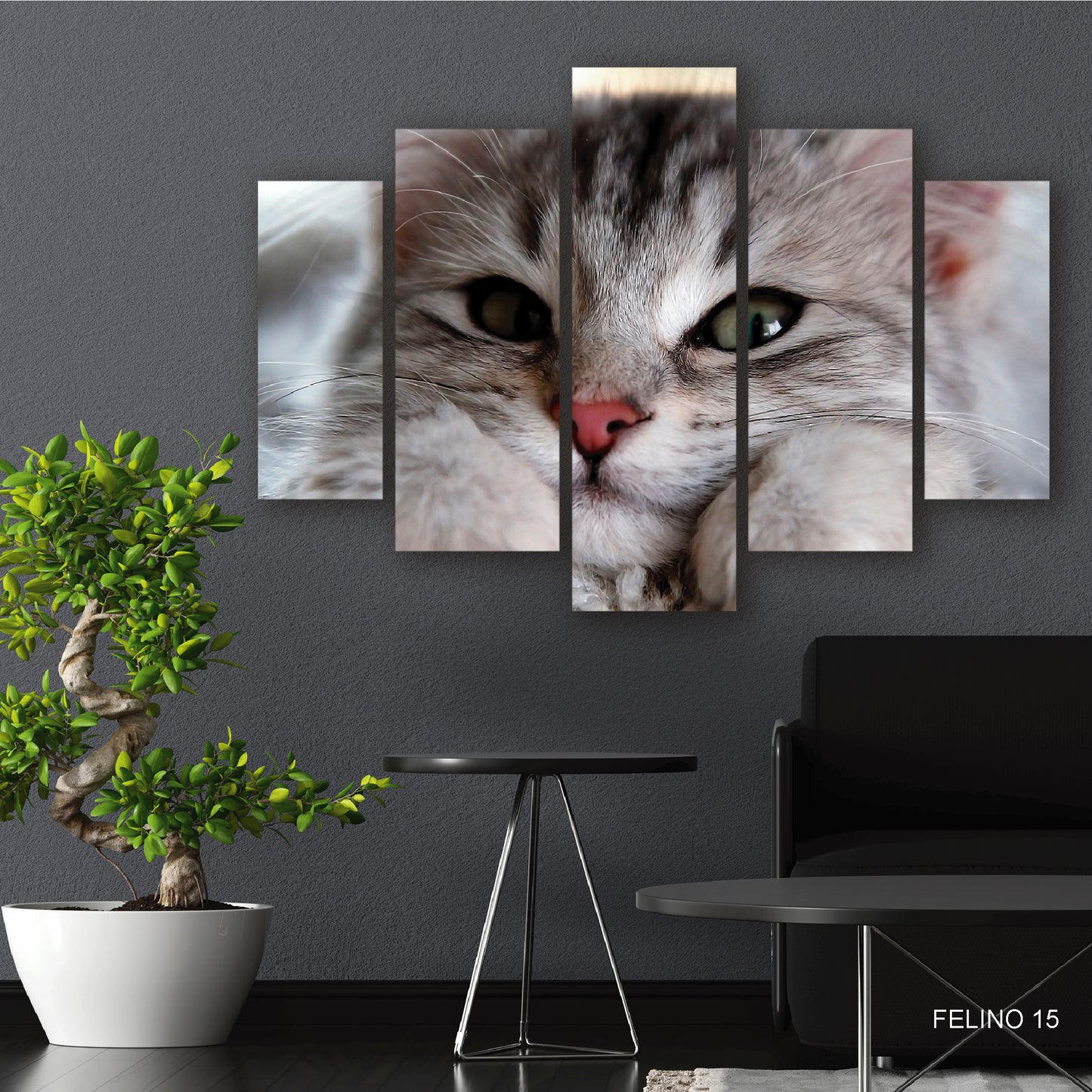 Subcoleccion Cuadros De Felinos/ Nombre: Cuadro Mirada Enternecedora: Retrato de Gato con Alma