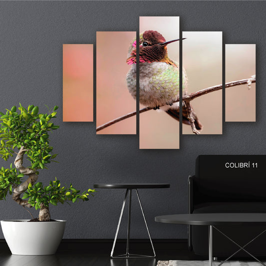 Subcoleccion Cuadros De Colibri/ Nombre: Cuadro Pecho de Nieve: Colibrí Blanco en Rama Natural