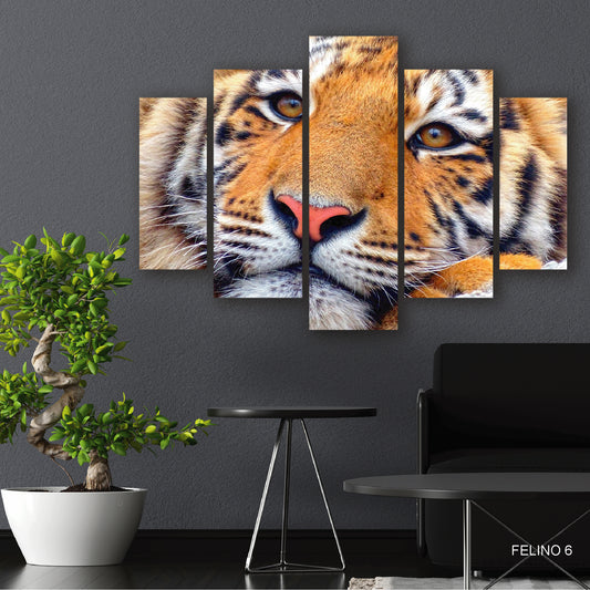 Subcoleccion Cuadros De Felinos/ Nombre: Cuadro Mirada Feroz: Retrato de Tigre en Primer Plano