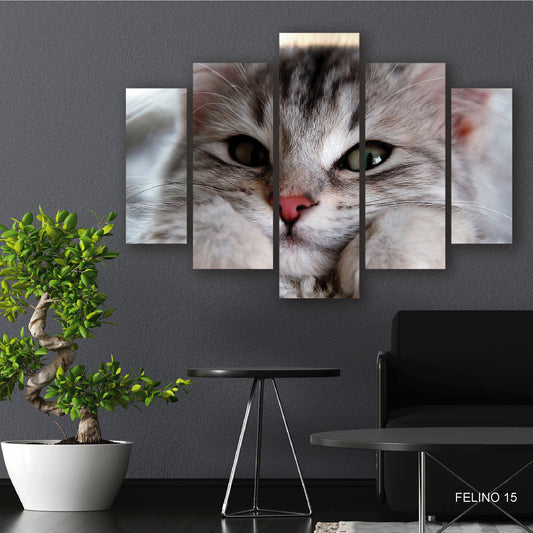 Subcoleccion Cuadros De Felinos/ Nombre: Cuadro Mirada Enternecedora: Retrato de Gato con Alma