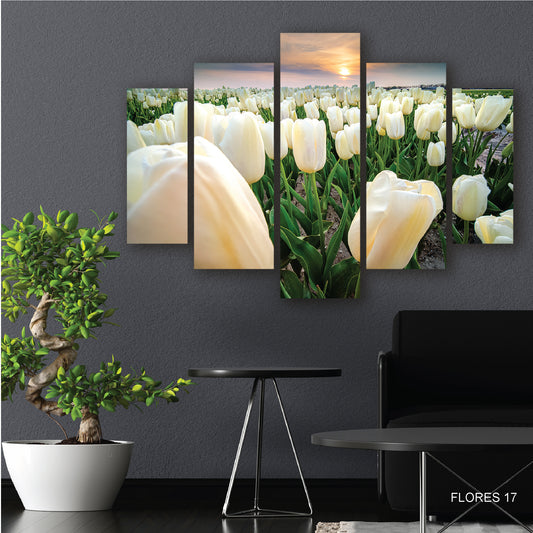 Cuadro Pureza Blanca: Campo de Flores Blancas en Flor