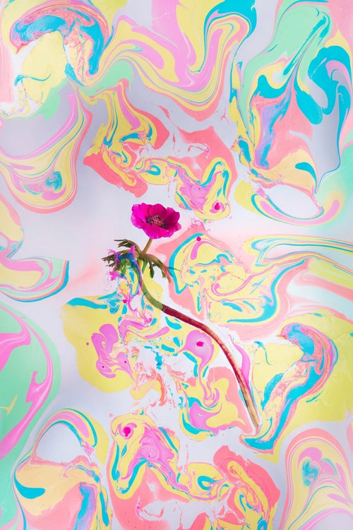 Cuadro Anémona Radiante – Explosión de Color
