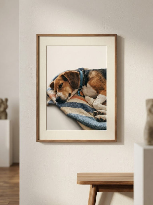 Después — Retrato de mascota