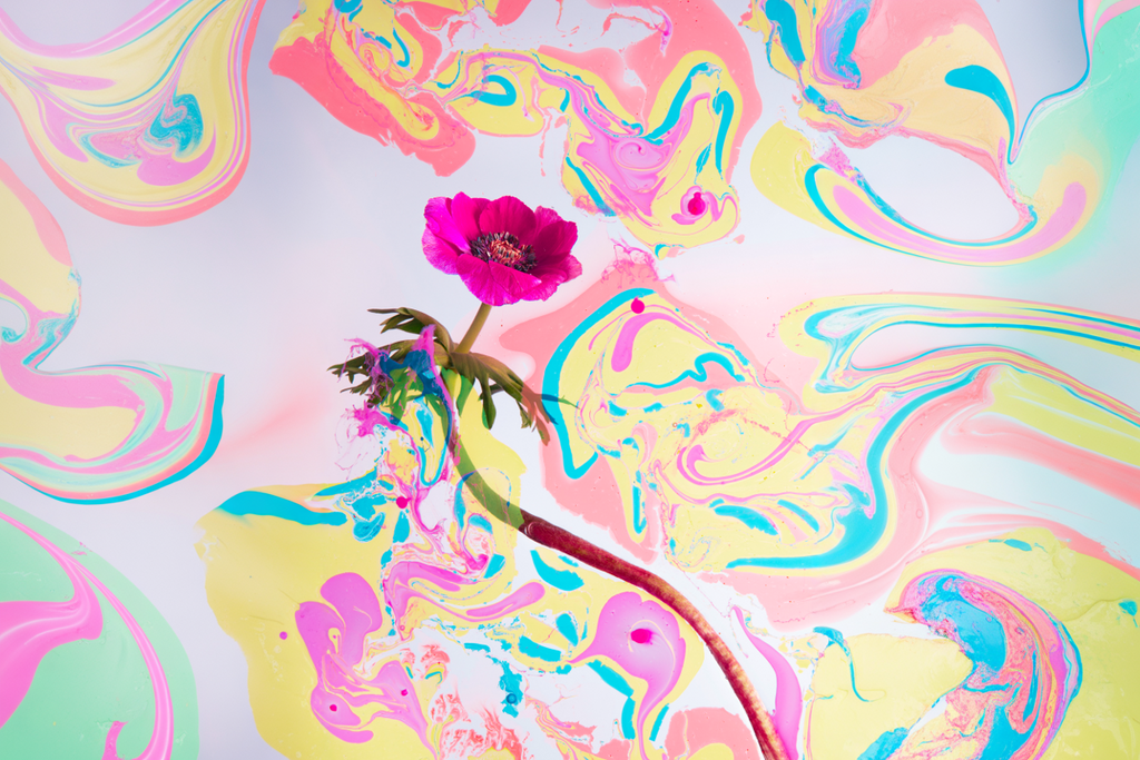 Anémona Radiante – Explosión de Color