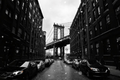 Silencio Bajo el Puente – Elegancia