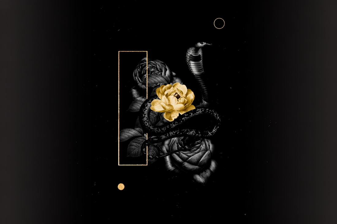 Veneno Dorado – Belleza Que Seduce