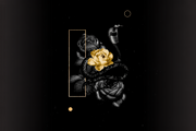 Veneno Dorado – Belleza Que Seduce